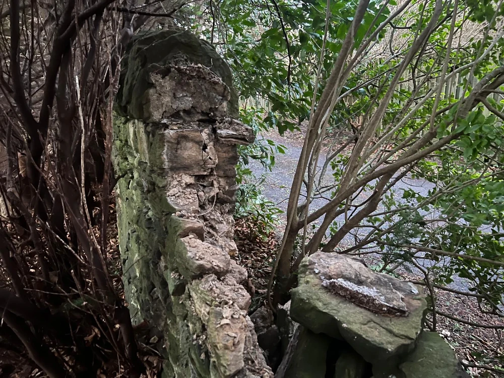 wall knocked over from large tree branch