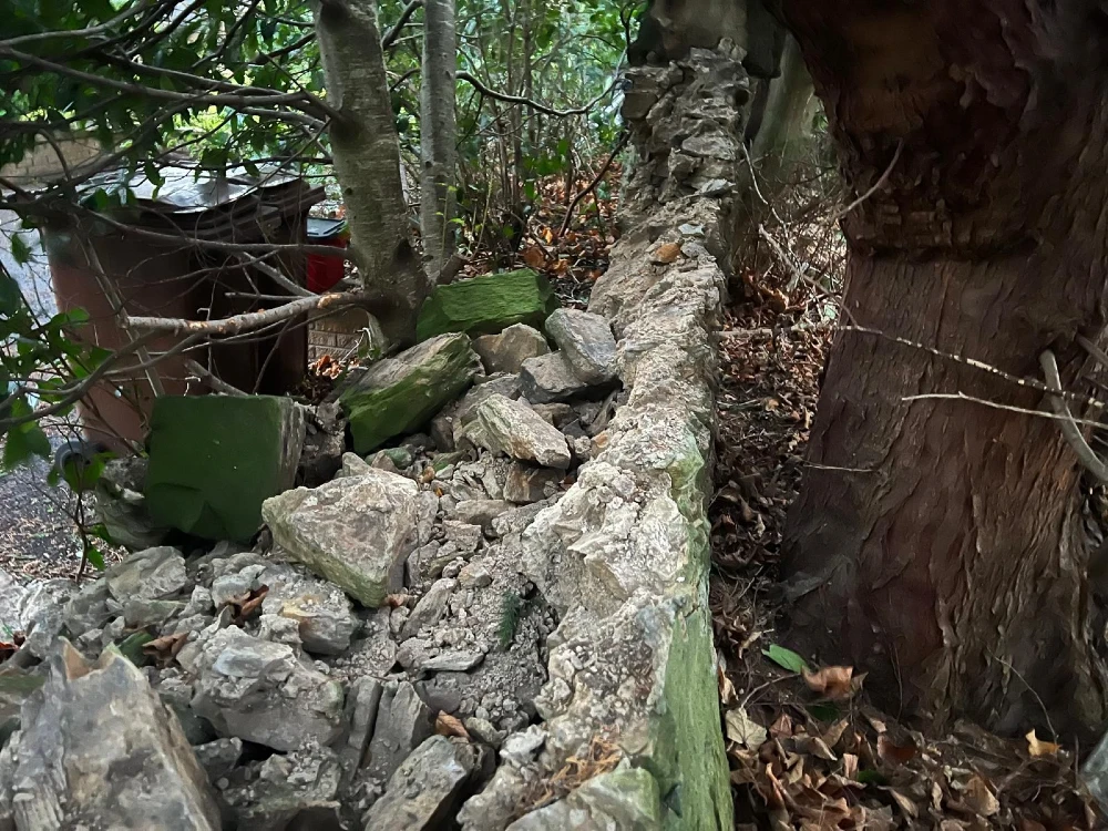 wall knocked over from large tree branch